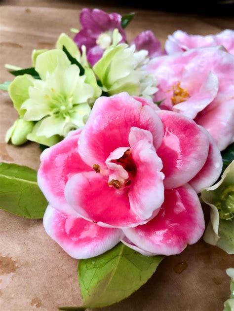 The Easy Art Of Waxing Flowers An Old Fashioned Southern Floral