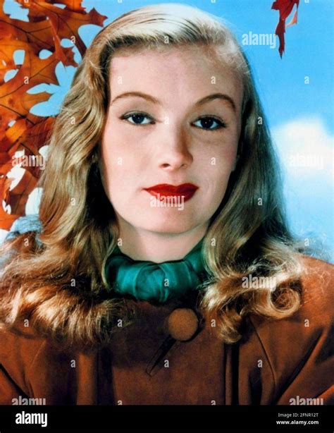 Veronica Lake 1922 1973 American Film Actress About 1944 Stock Photo