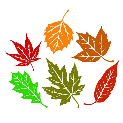 Fall Leaf Pack Cuttable Design Apex Designs And Fonts