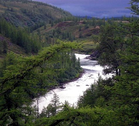 River In Taiga In Northern Russia The Nature Of The Taiga In A
