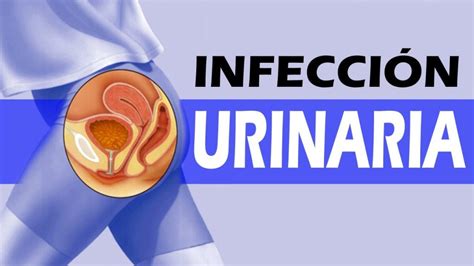 Síntomas de infección de orina Prevención y Tratamiento