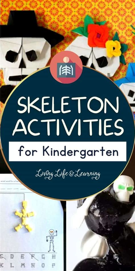 Skeleton Activities For Kindergarten