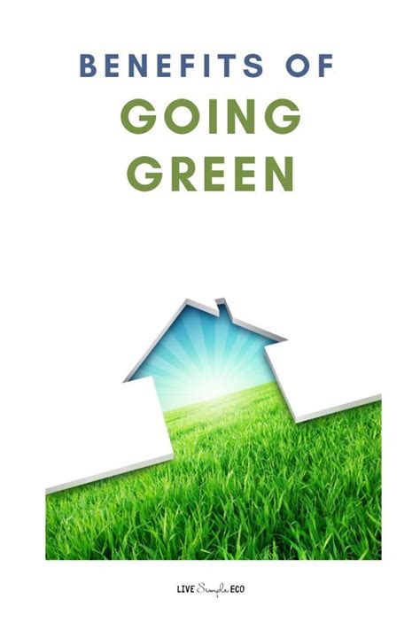 Learn The Benefits Of Going Green And Why You Should Start Living Eco