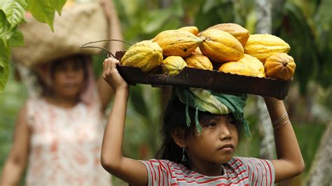 Nestle Sued For Perpetuating Child Slavery Overseas From Headquarters