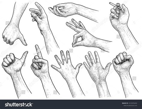 Hand Gesture Collection Illustration Drawing Engraving Stock Vector