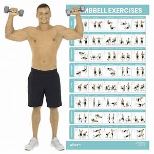 Buy Vive Dumbbell Exercise Poster Home Gym Workout For Upper Lower Full
