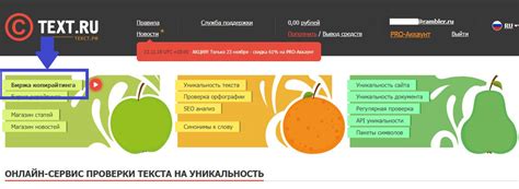 Как работать на Text.ru: отзывы о заработке на бирже копирайтинга ...