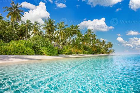 Beach Nature Concept Palm Beach In Tropical Idyllic Paradise Island