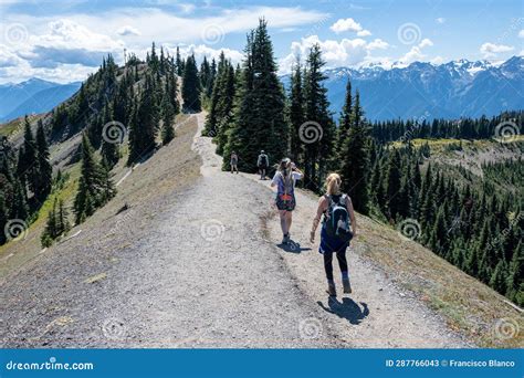 Hikers On Hurricane Ridge Trails In Olympic National Park Washington