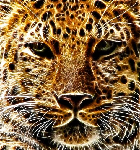Amur Leopard Fractalius Re Edit By Roypyper On Deviantart