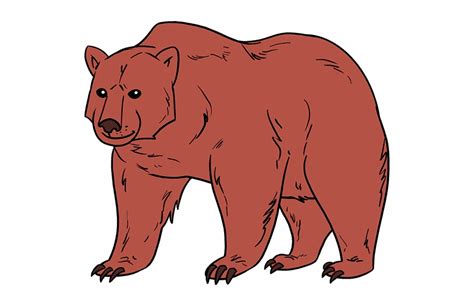 Bear Clipart Realistic Pictures On Cliparts Pub 2020 🔝