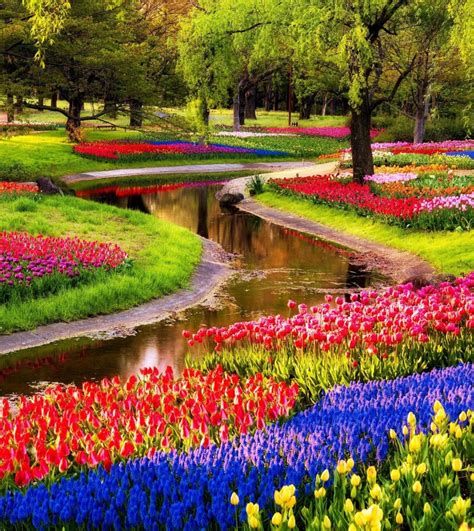 14 Reasons To Visit The Netherlands In Spring Netherlands Tourism