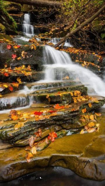 Осенний водопад анимация на телефон №1285801 State Parks