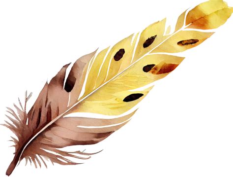 Free Colorful Feather Watercolor 22154057 Png With Transparent Background