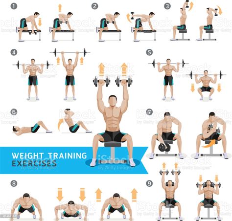 Dumbbell Exercises And Workouts Weight Training Stock