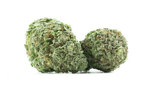 I also like foreign languages, different cultures and i enjoy travelling, but i don't think that translation or being a professor is something for me. Kryptonite AAA (28g) - Candelivery
