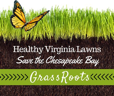 More importantly, our lawn maintenance team's desire is to transform your lawn into safe and inviting spaces for years to come. Grass Roots Personalized Lawn Care Recommendations ...