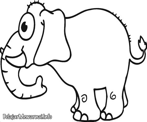 10 Gambar Mewarnai Hewan Gajah Terbaik Untuk Anak Anak Ayo Mewarnai