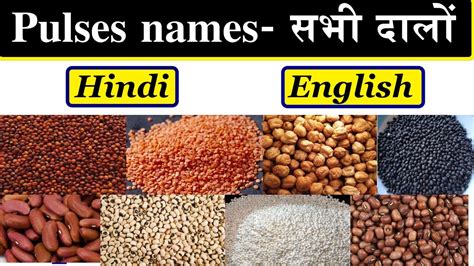 Pulses Names In English And Hindi With Pictures Dalo Ke Naam Hindi