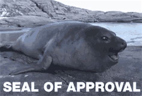 Seal Seal Of Approval Gif Seal Seal Of Approval Approval Discover Share Gifs