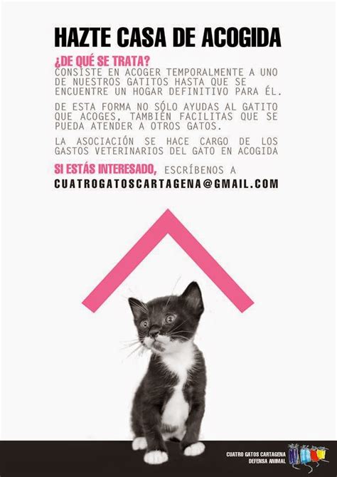 La casa de acogida colabora con la asociación y ofrece su hogar y sus cuidados de forma temporal entre las ventajas que supone ser casa de acogida estan: Cuatro Gatos Cartagena: Colabora