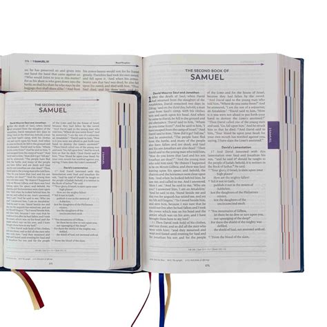 Great Adventure Catholic Bible Large Print Edition Rsv Translation