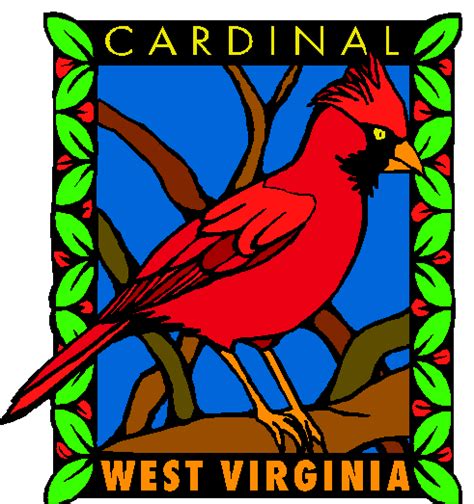 West Virginia State Bird The Cardinal West Virginia Virginia Usa