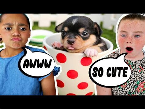 Try Not To Say Aww Challenge Videos For Kids