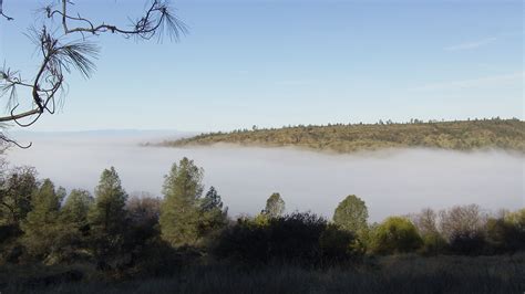 Tule Fog Filling The Valley Off Hwy 32 Near Chico Ca Landscape