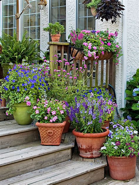 How To Group Container Gardens Together Better Homes