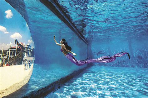Mermaid Divers Pursue Dreams In The Deep Peoples Daily Online