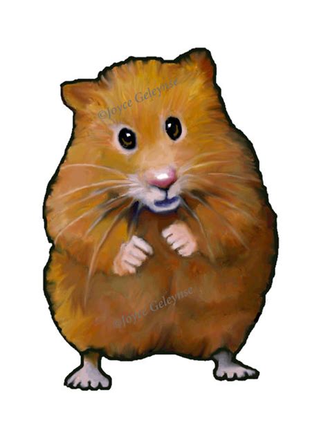 Hamster Clipart 20 Free Cliparts Download Images On Clipground 2024