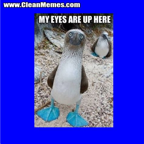 July 8 2014 Clean Memes