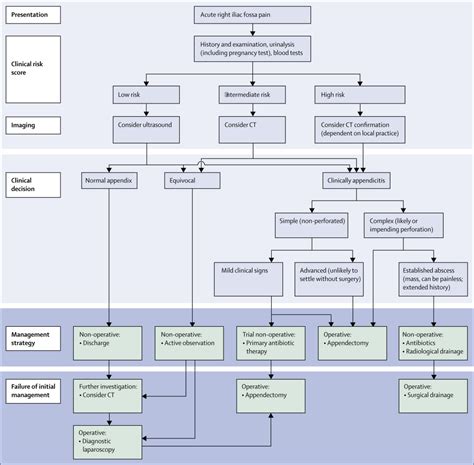 Acute Appendicitis Modern Understanding Of Pathogenesis Diagnosis