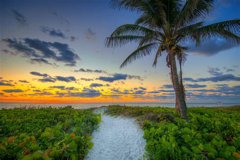 Delray Beach Sunrise With Coconut Tree Photo Courtesy Of Kim Seng