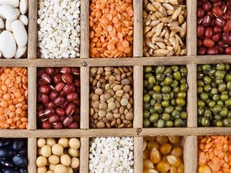 A seed bank is a facility used to store seeds of various crops and wild plants, in an effort to maintain biodiversity. New Seed Bank to Address Agriculture Concerns of Nepal ...