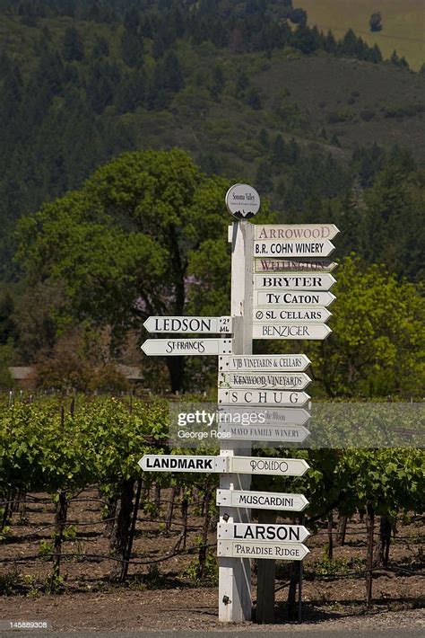 A Sonoma Valley Winery Directional Sign Stands In A Vineyard On May 9
