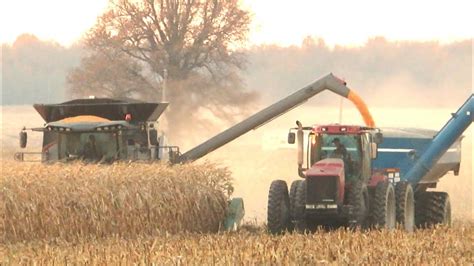 Corn Harvest 2020 Gleaner S97 Combine Harvesting Corn Ontario