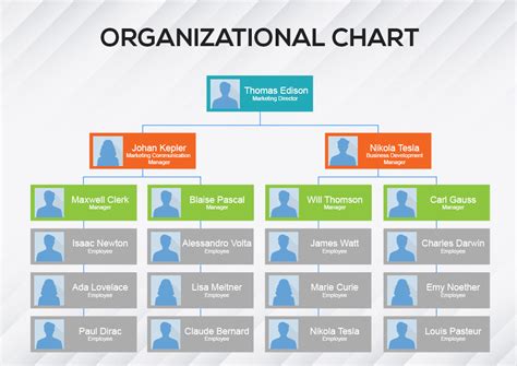 Photoshop Org Chart Template