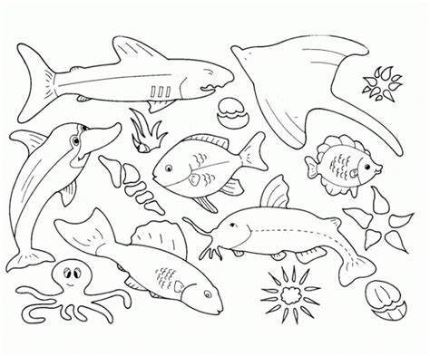 Ocean Animals Coloring Pages For Preschool At Getdrawings Free Download