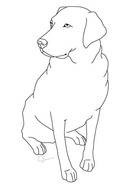 Labrador Retriever Coloring Page At Getdrawings Free Download