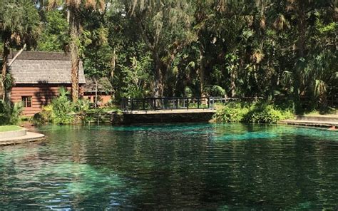 The 15 Best Things To Do In Ocala 2021 With Photos Tripadvisor