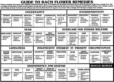 How to make flower essences, how to use them, and some flowers to look for this summer, and the healing properties of their flower essences. Bach Flower Essences for Breaking Addiction - A hangover ...