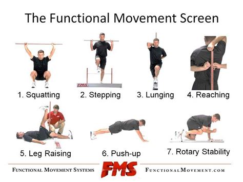 Fms Functional Movement Systems Flexibilityrx™ Performance Based