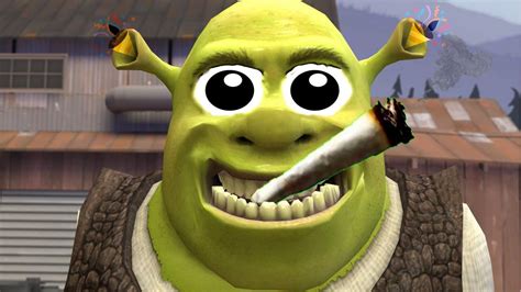 Create Meme Shrek Funny Shrek Face Carbon Monoxide Shrek Pictures The Best Porn Website