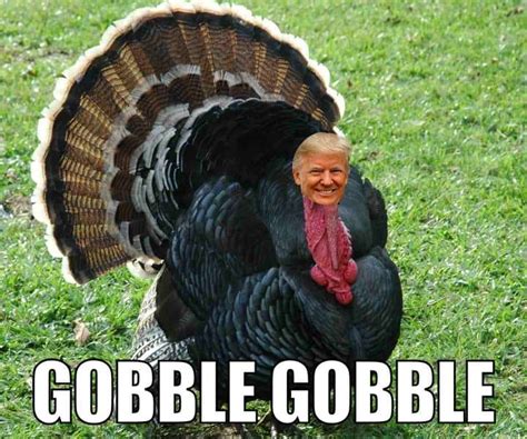 30 funny thanksgiving memes better than your turkey dinner laptrinhx news