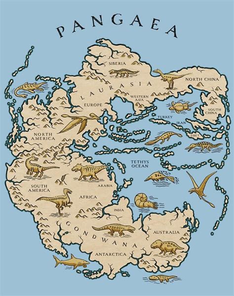 How The Actual Continents And Previous Living Beings Were Arranged