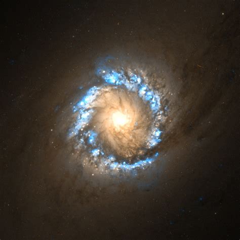 About 60% of the width of the milky way. Ngc 2608 Galaxia - Supernova 1994d In Galaxy Ngc 4526 ...