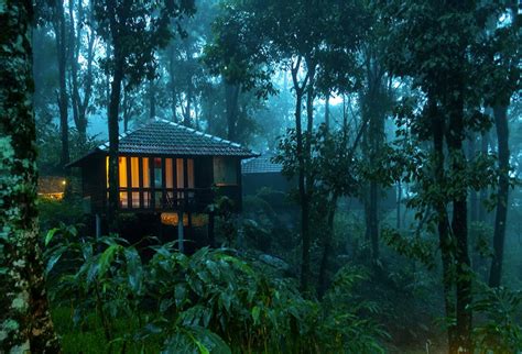 Rain Forest Nature Experience Wayanad