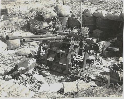 Japanese Small Caliber Anti Aircraft Artillery